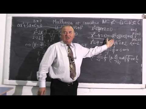Lectia 350 - Ecuatia de gradul 2 pe intelesul vostru - Matematica cu Proful Online