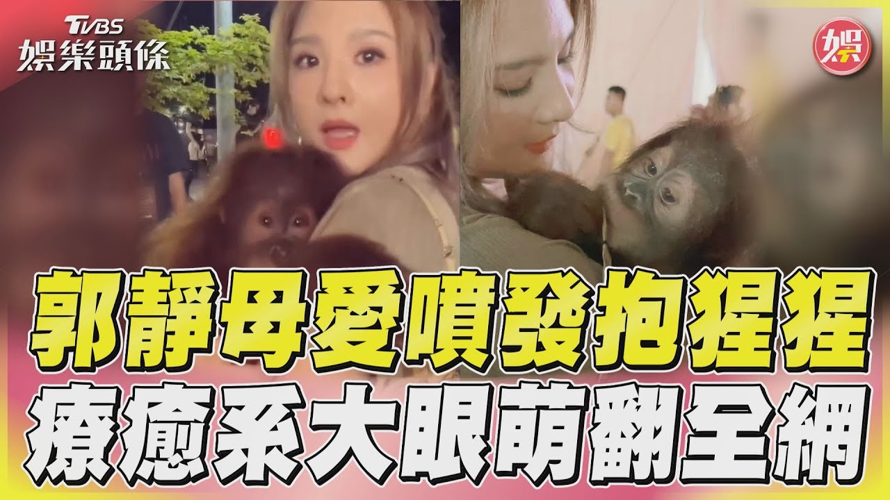 影音/郭靜母愛噴發抱猩猩 療癒系大眼萌翻全網