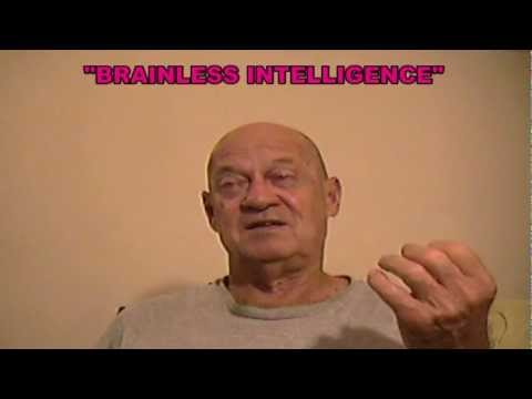 EPISODE 6--BRAINLESS INTELLIGENCE ( JAMMIN JIMMY ORIGINALS ) LIVE MIDI