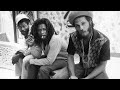 The Congos - Sleeping giant