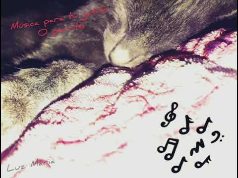 canción para tu gatito(Luz Maria)