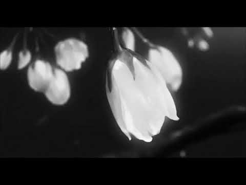 Holding Absence ft. Alpha Wolf - Aching Longing (Slowed + Reverb)