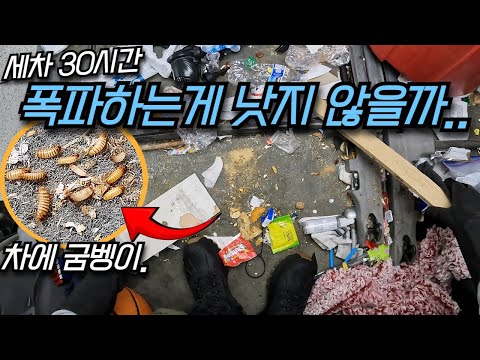 30시간 세차해서 쓰레기 매립장이 된 5남매 가족의 미니밴을 새차로 만들었습니다.