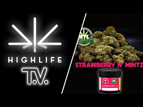 HLTV - Strawberry N Mintz PK