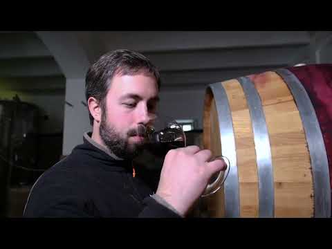 Put do robne marke ep. 103 30.01.2023. Vinarija "Ivanović", Aleksandrovac