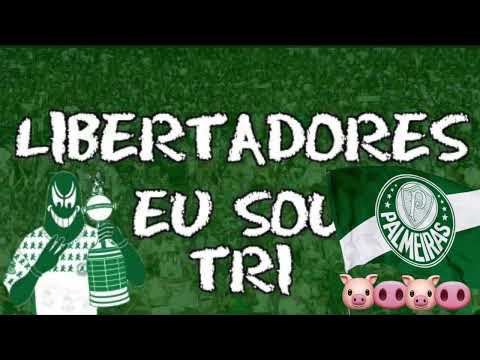 Libertadores eu sou tri / Funk ( Dj W5 )