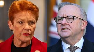 ‘Taking the fight against the PM’: One Nation’s rise could change politics forever