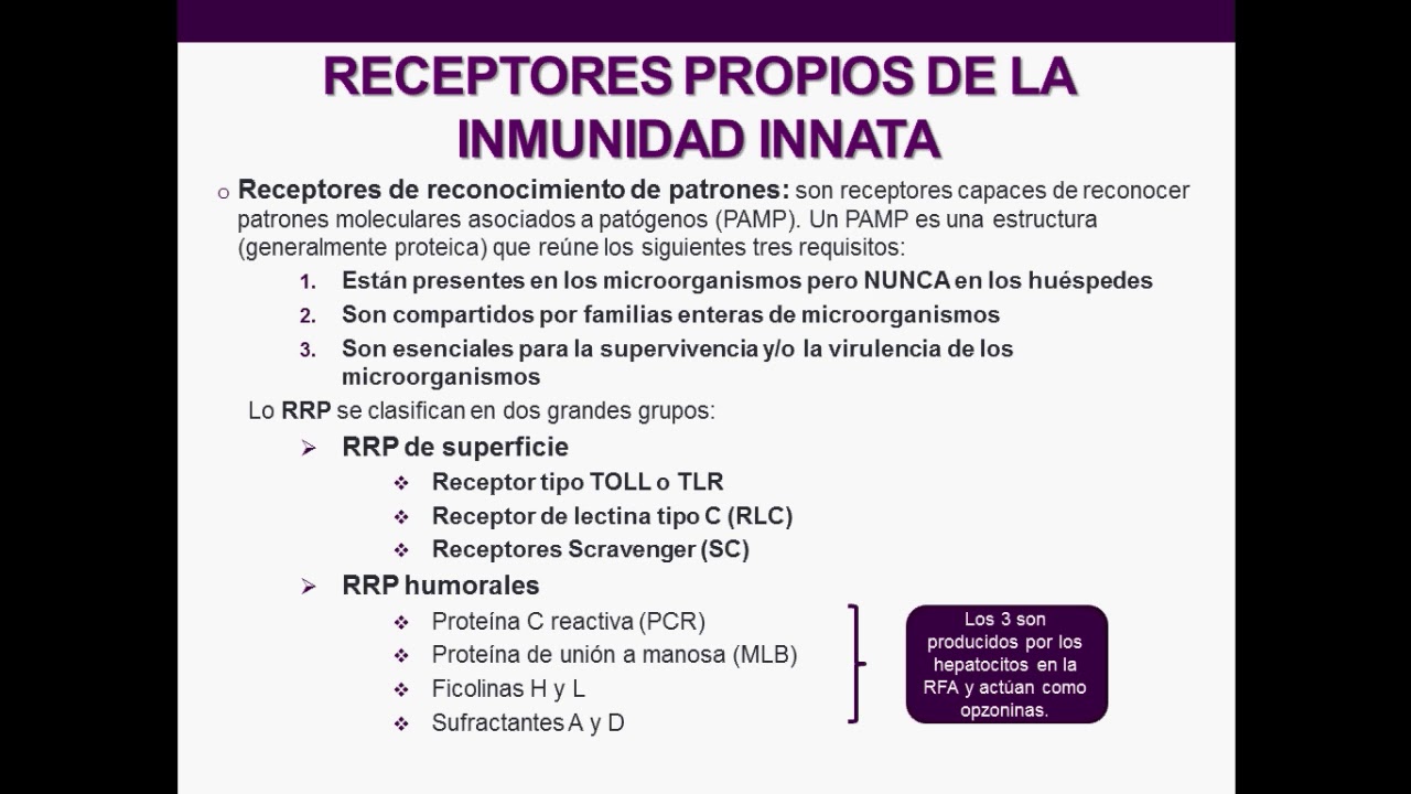 Introducción a la inmunología humana - Clase 3: Inmunidad Innata "Células y receptores de la II"
