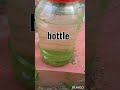 How To Gro Plants Eco Friendly Cultivation Albert S Solution