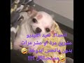 ههههههههههه اتحداكم ؟ 🤣🤣