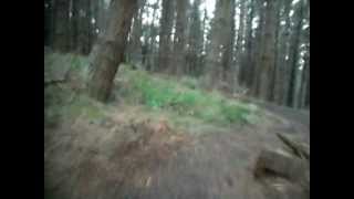 preview picture of video 'Ninja new track at Eskdale PanPac Forest Mountain Bike Park.'