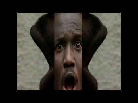 #Unbwogable (Chorus Acapella)