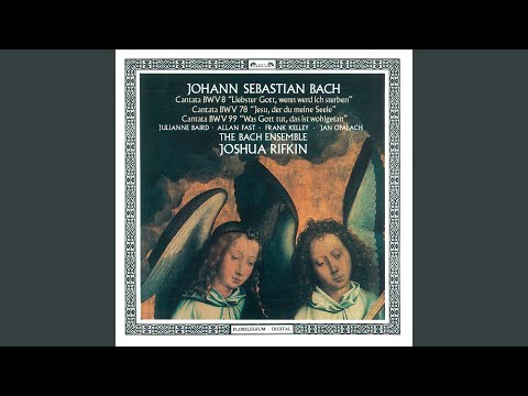 J.S. Bach: Jesu, der du meine Seele, Cantata BWV 78 - 2. Aria: Wir eilen mit schwachen, doch...
