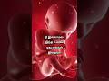 Allah Unthan Atral Ellam Nagoorhanifasongs Bismillah