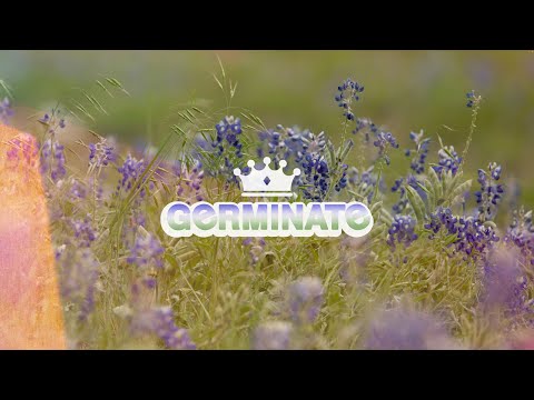 Empire Germinate 2023