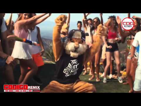 Dawin Desseert   Jason Risk