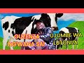 GUZENZA NG WANA SAI UJUMBE WA LUTONJA AUDIO MSAMBAZAJI DOTO K GASHI