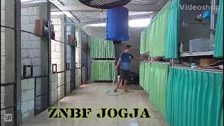 Download lagu Penangkaran Murai batu jogja mp3