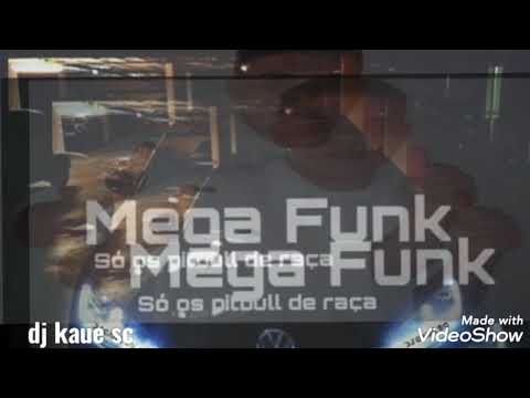mega funk só pitbull de raça(dj kaue sc)