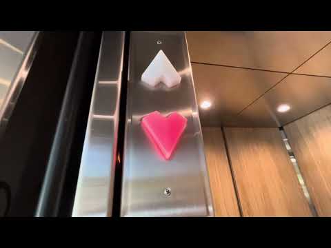 Vertrans Hydraulic Elevator | 3200 Danville Blvd | Alamo, CA