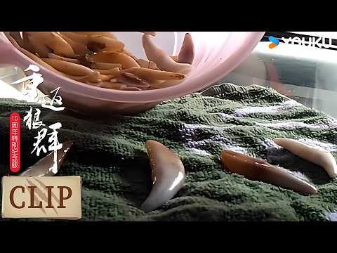 若尔盖县城出现620张狼头皮制成的狼皮袍，李微漪瞬间后悔放归格林 | 重返狼群 10周年特别纪念版 | 优酷纪实人文 YOUKU DOCUMENTARY
