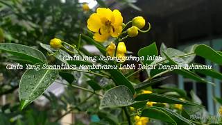 Download lagu Story Wa Aisyah Istri Rasulullah mp3 Download lagu Story Wa Aisyah Istri Rasulullah mp3