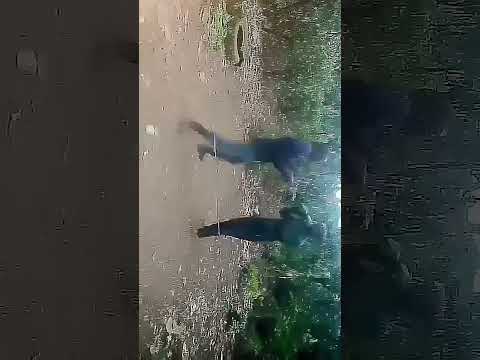 ni vikombe tuh mtaa haufai