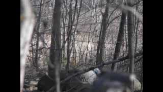 bob precious memories