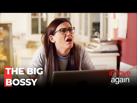 Şaziment Bosses Around - In Love Again