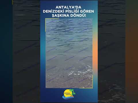 Antalya’da denizdeki pisliği gören şaşkına döndü!