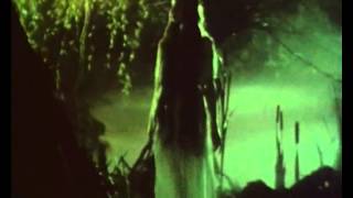 Ой гаю, мій гаю - Ніна Матвієнко