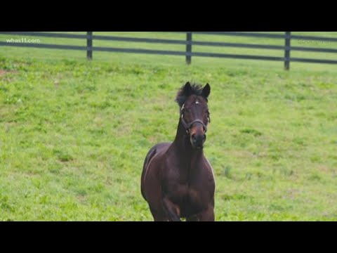 Lookback: 2007 Kentucky Derby winner Street Sense