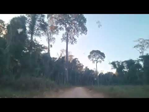 Colniza mato grosso mais um pedaço desse brasil