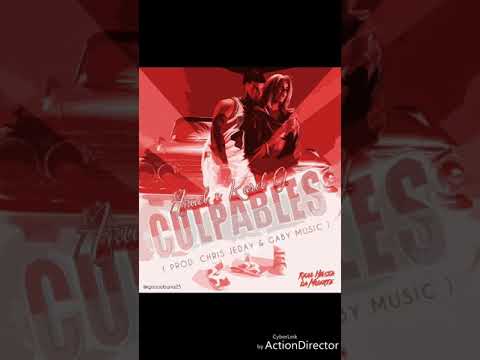 ANUEL AA X KAROL G CULPABLES (PROB CHRIS JEDAY & GABY MUSIC