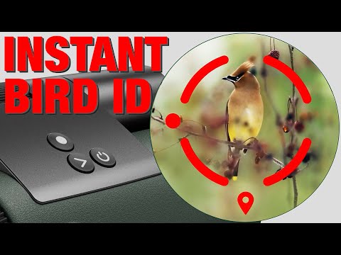 The Future of Birding - Instant Bird ID thanks to AI (SWAROVSKI AX Visio)