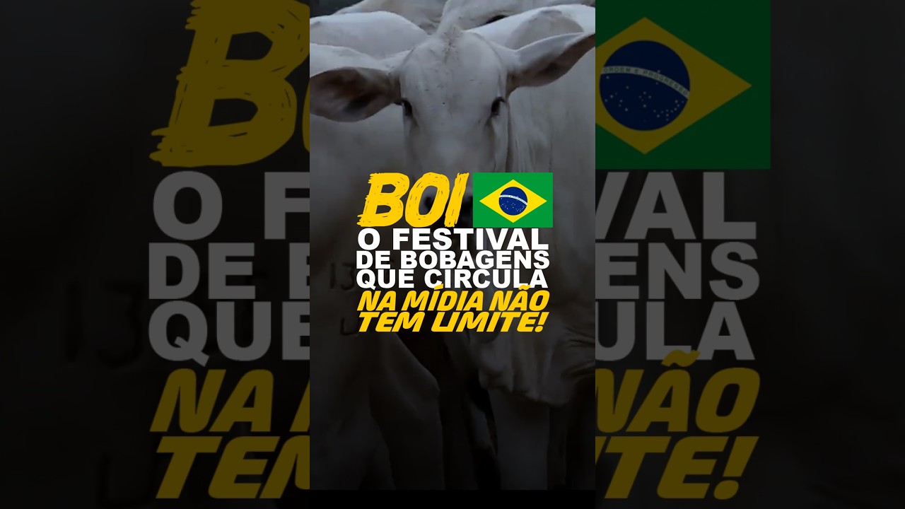 BOI BR: O FESTIVAL DE BOBAGENS QUE CIRCULA NA MÍDIA NÃO TEM LIMITE!
