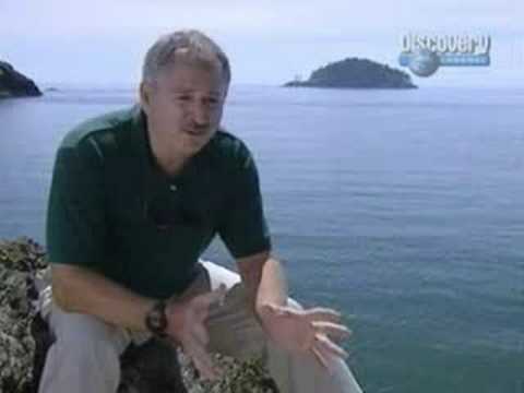 Wave of Destruction(3 of 5)