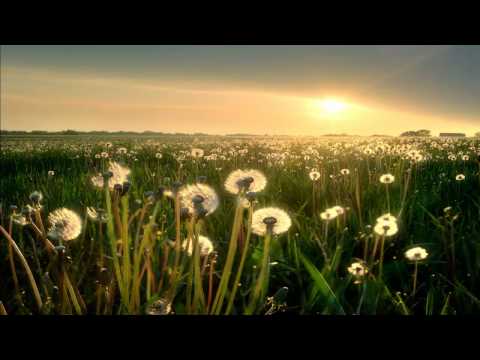 Hysteria! - What You Want (Trance Arts Uplifting Mix)