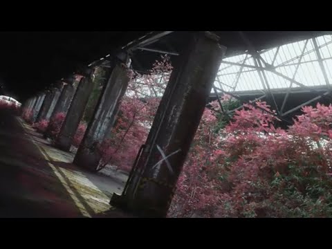 Time, The Valuator - In Control (feat. Nico Schiesewitz) (Official Video)