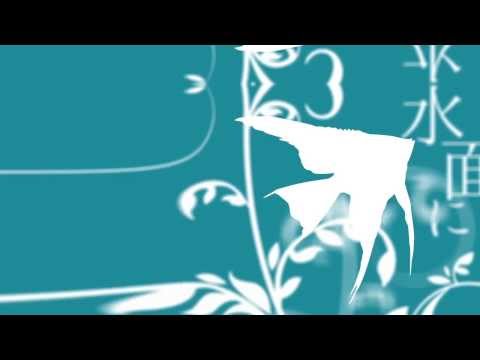 【はしやん】エンゼルフィッシュ / Angelfish【Hashiyan】
