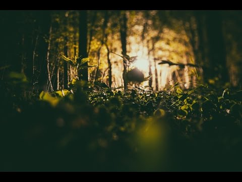 TRAD.ATTACK! - Säde / Spark (Official Music Video)