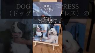 抽選似顔絵イベントしました| 雑誌創刊号ドッグラバーズプレス|蔦屋書店柏の葉キャンバス　#shorts
