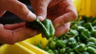 preview picture of video 'Peppers:  A Love of Spanish Food and Culture'