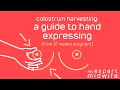 Colostrum Harvesting A Guide To Hand Expressing