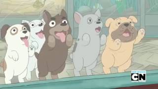 We Bare bears (official video) pet shoop 1