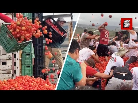 Tomatoes go flying for Colombia's Gran Tomatina festival