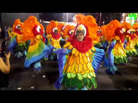 São Clemente 2018 - Desfile Oficial (11/02/2018)