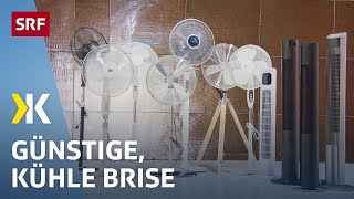 Ventilatoren im Test: Viel Wind für wenig Geld | 2020 | Kassensturz | SRF