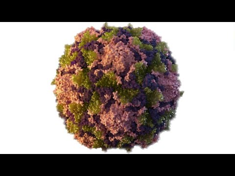 NY Rockland County & Polio Vaccines