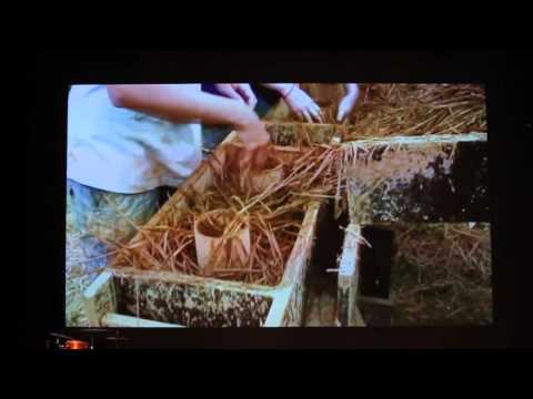 Landes-Kulturpreis 2015 - Würdigungspreis für FH Kärnten